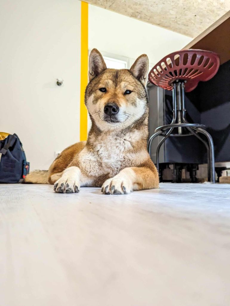 Saori kido (Sans Affixe)